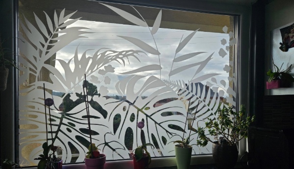 vitrophanie bureau près de Maubeuge